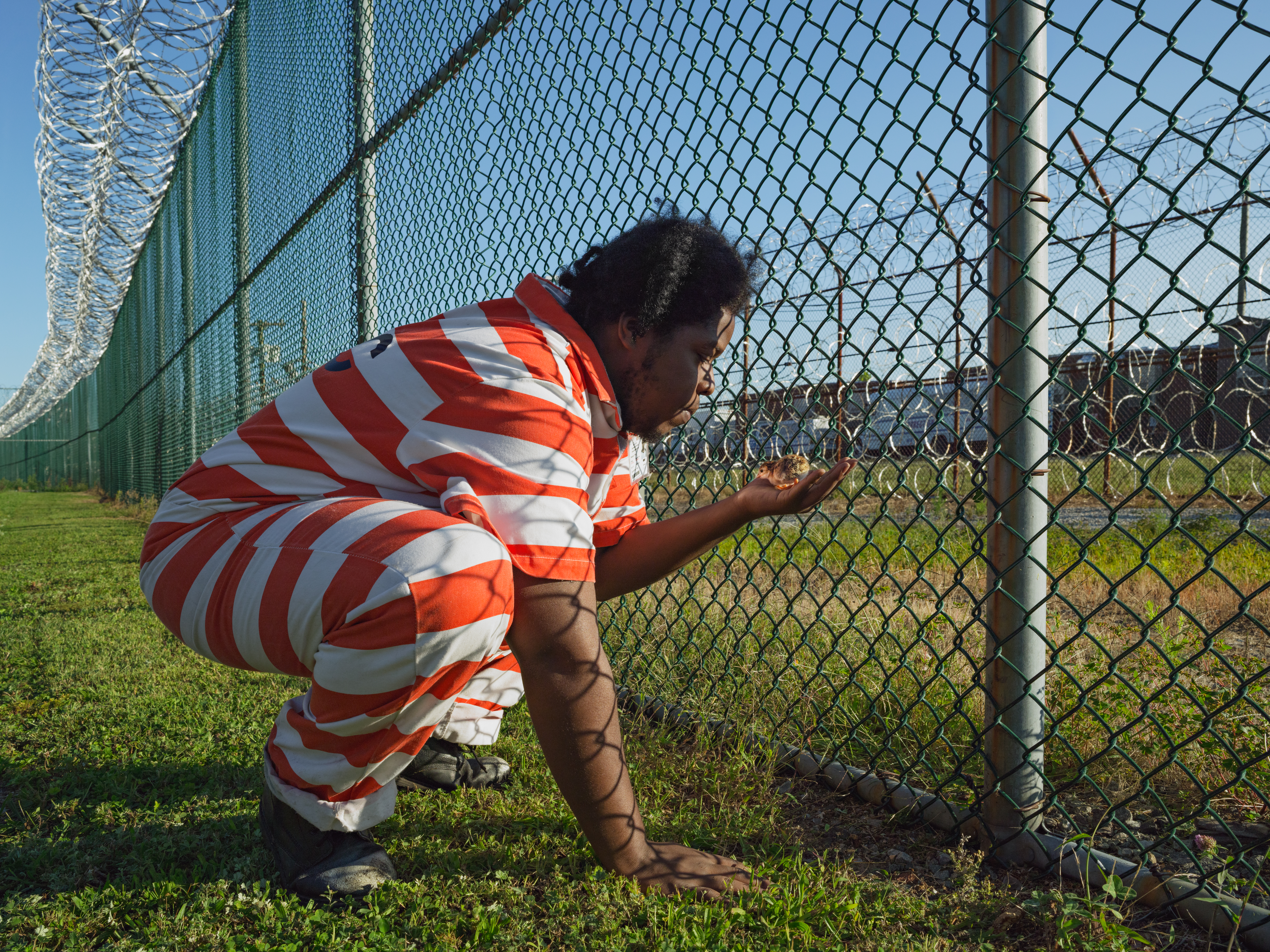 Troy Holding a Guinea Fowl Chick, Rikers Island Jail Complex, New York  2014