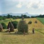 The Borca family from the village of Breb, Romania, put finishing touches to one of the 40 haystacks they make each summer in nearby Maramures,...
