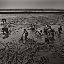 Salt Water Tears: Lives Left Behind in Satkhira